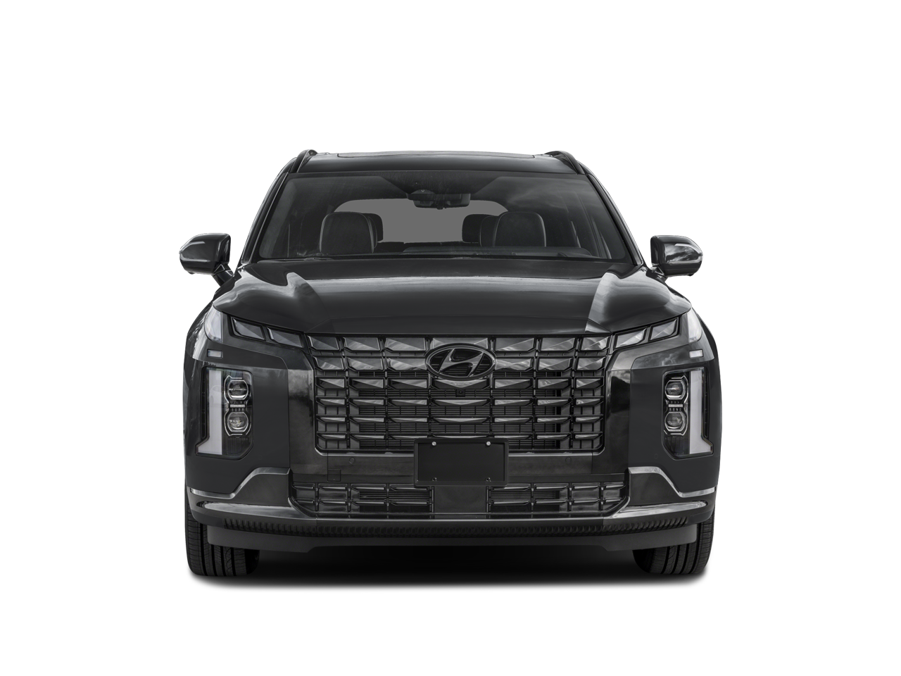 2024 Hyundai Palisade Calligraphy Night Edition