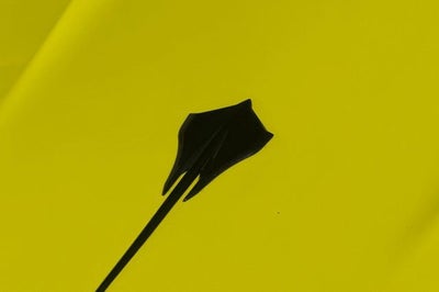 2024 Chevrolet Corvette Stingray Stingray Convertible 3LT