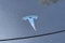 2025 Tesla Model 3 Long Range RWD