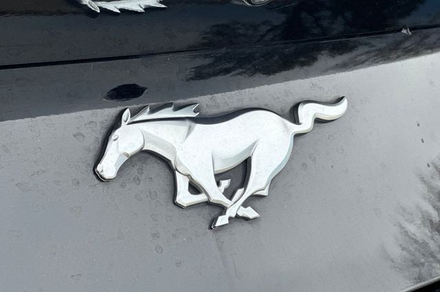 2024 Ford Mustang EcoBoost Premium EcoBoost Premium