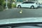 2018 Cadillac Escalade Premium Luxury PREMIUM LUXURY