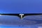 2023 Tesla Model S Plaid