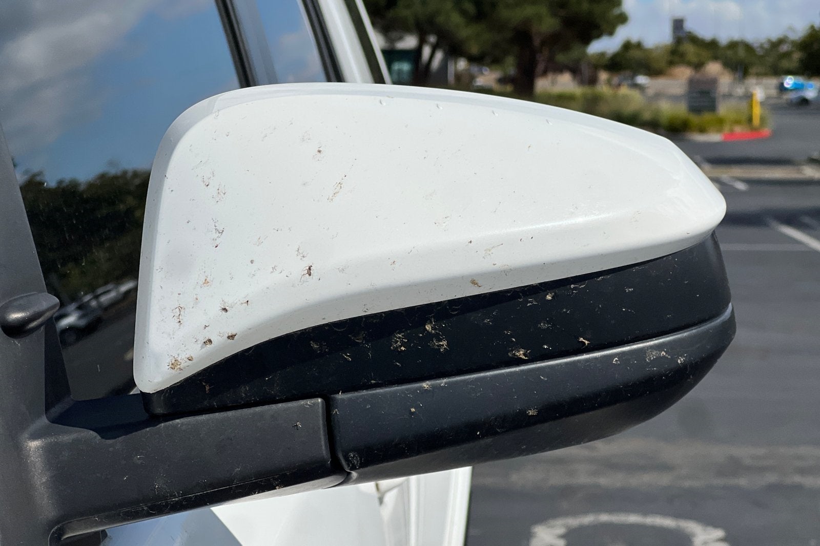 2023 Toyota 4Runner SR5 SR5