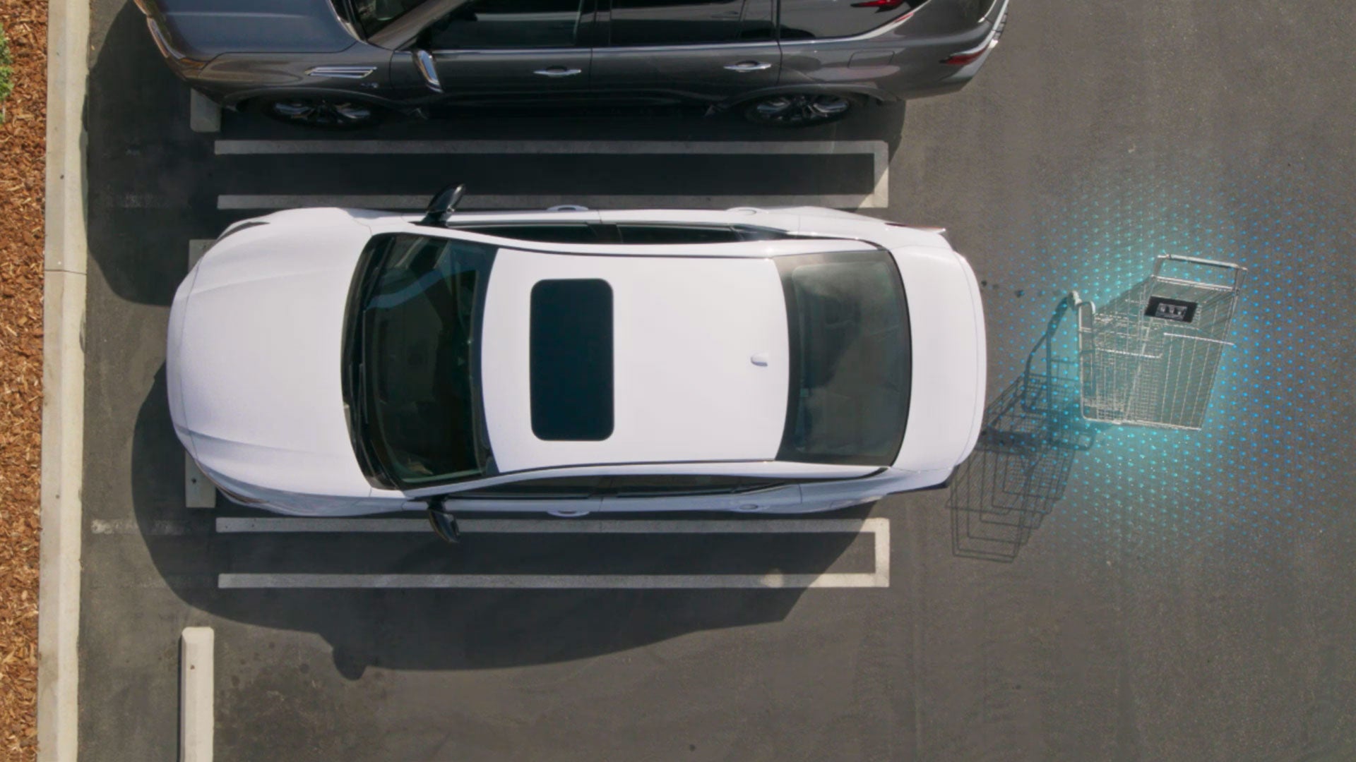 2026 Nissan Altima | Concord Nissan in Concord, CA